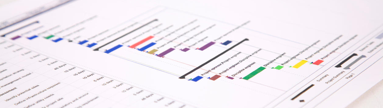 Project Timeline